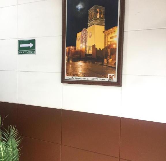 בית מלון כפרי Trevi