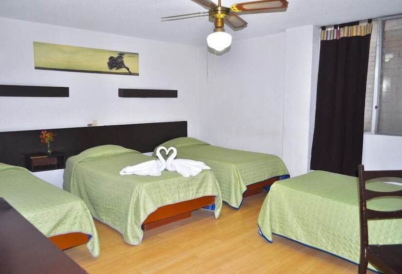 בית מלון כפרי Trevi