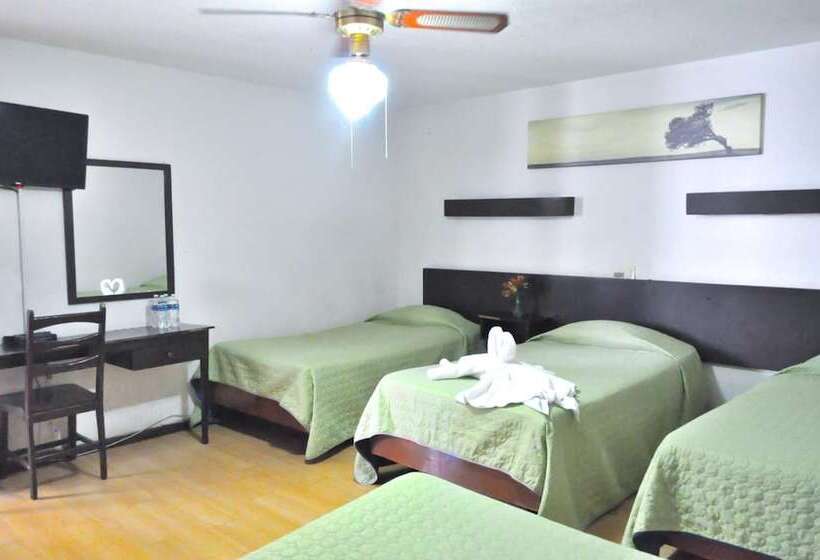 בית מלון כפרי Trevi