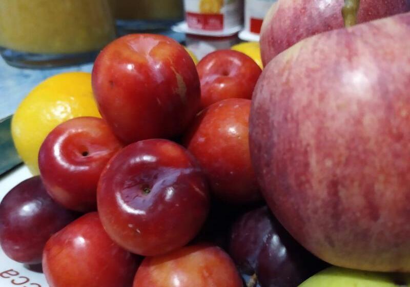 호텔 Vida Ostra Marina