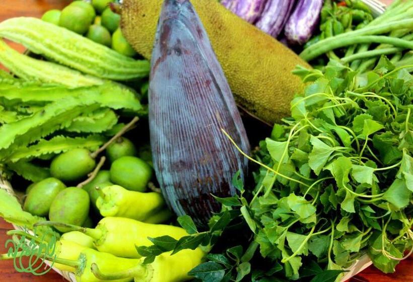 Отель Yala Beddegama Eco