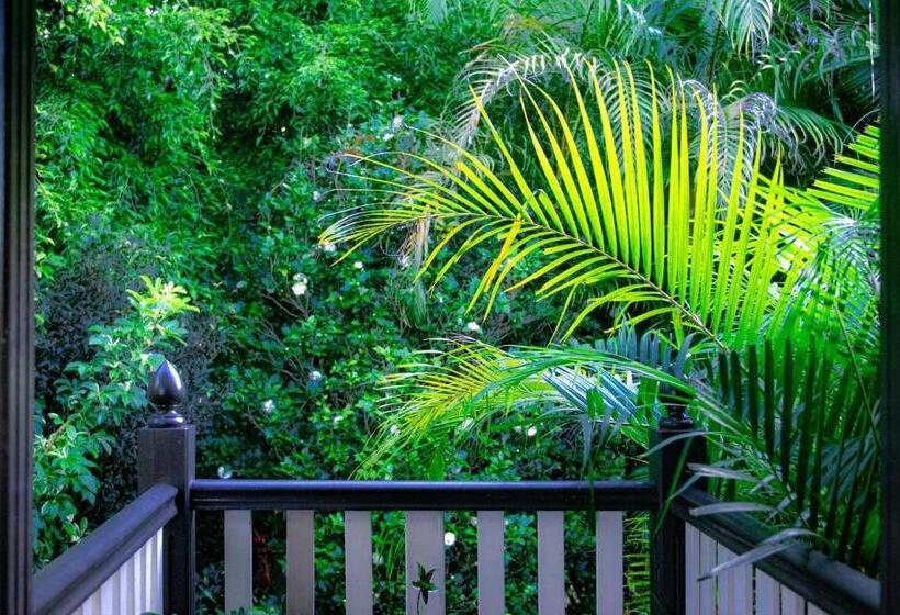 Mountain Sanctuary B&b