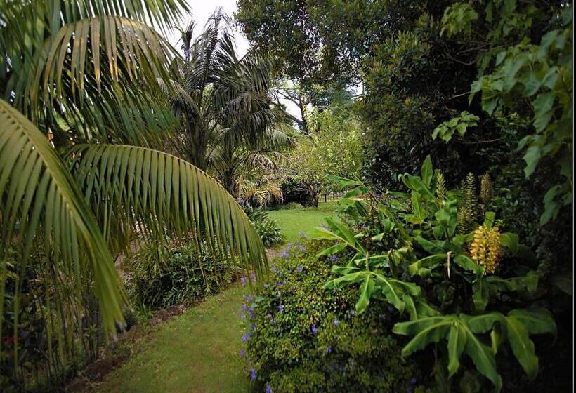 Mountain Sanctuary B&b