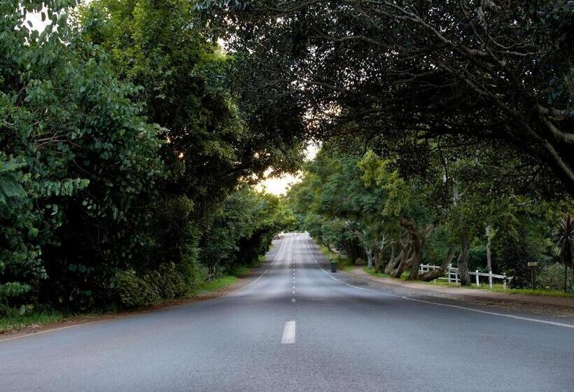 Mountain Sanctuary B&b