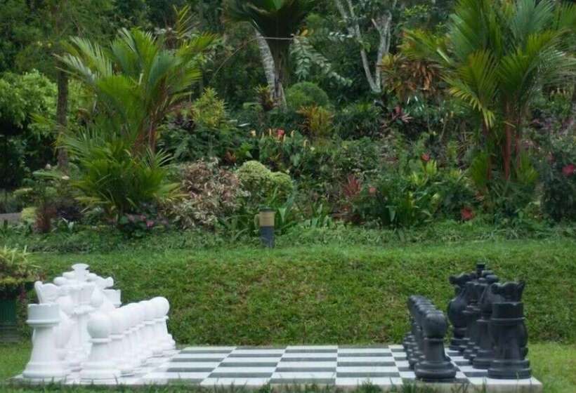 Пансион Ancoombra Tea Estate Bungalow