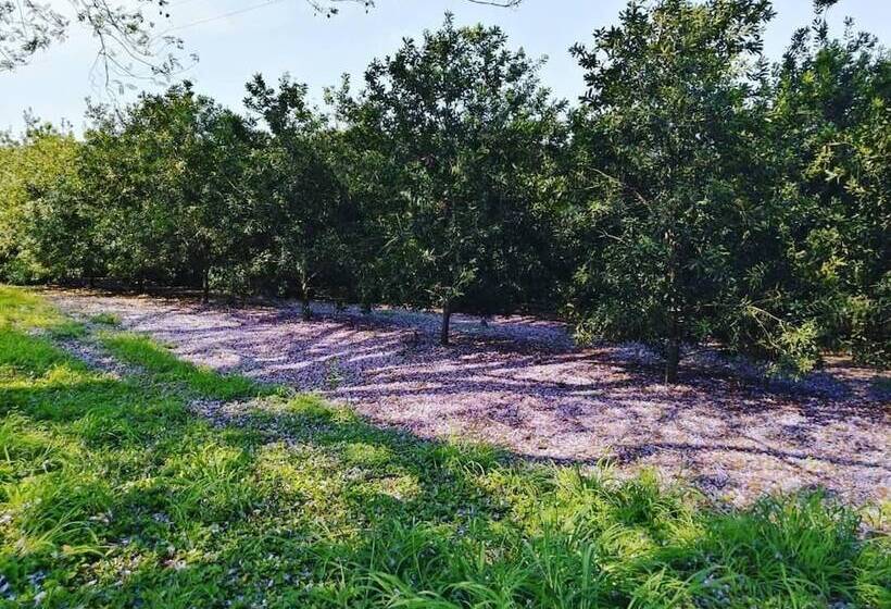 膳宿费 Idle & Wild