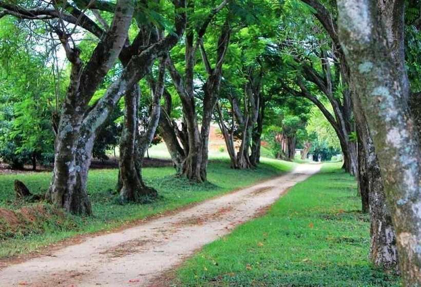 Пансион Idle & Wild