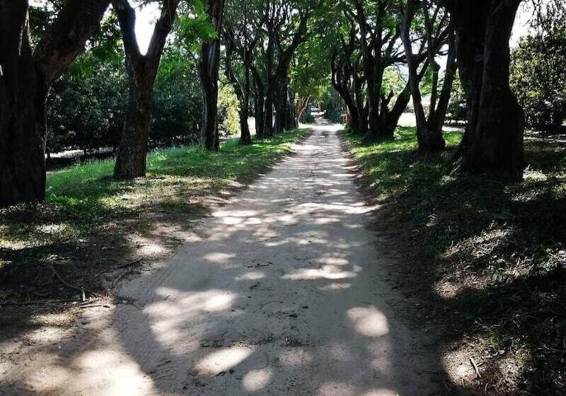 ペンション Idle & Wild