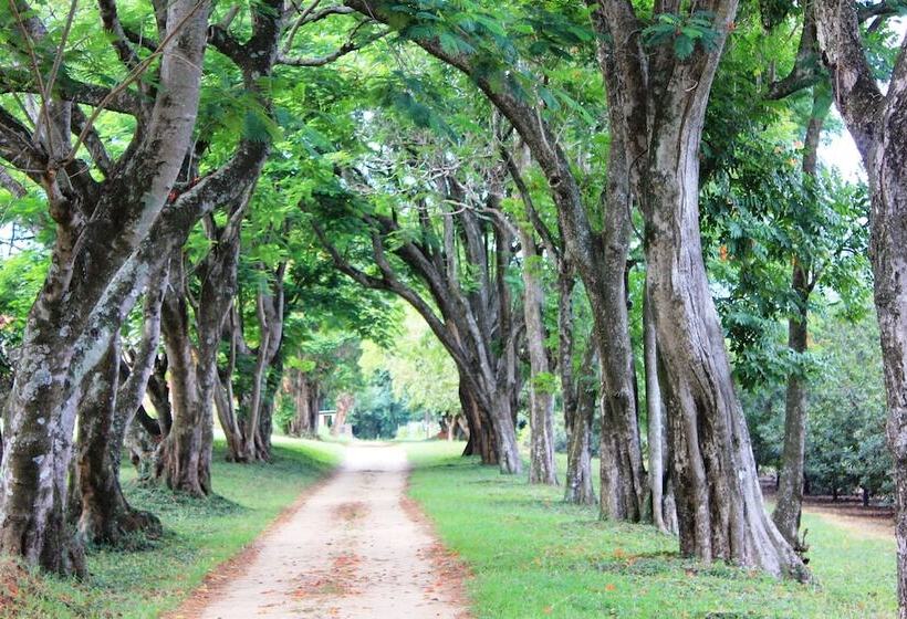 ペンション Idle & Wild