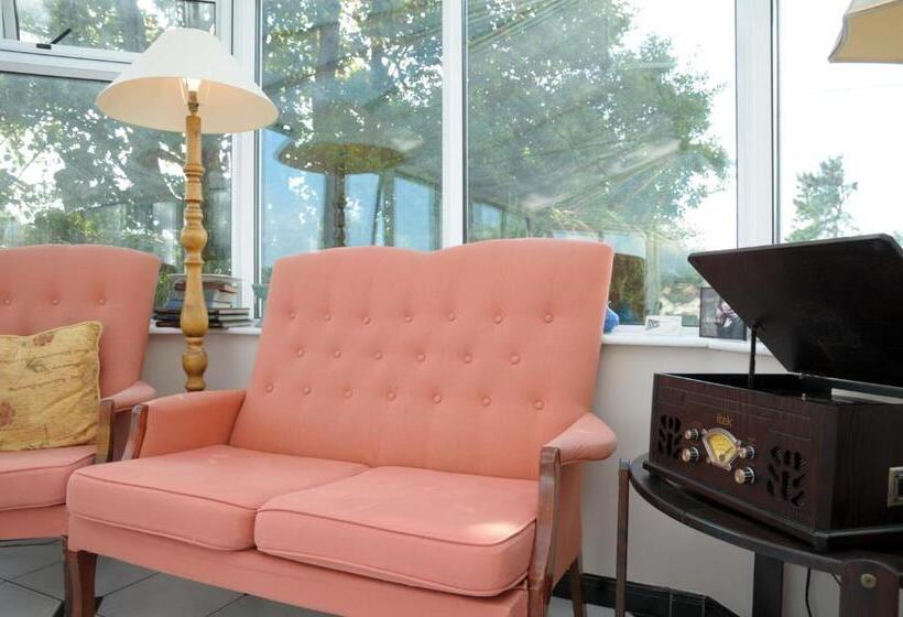 膳宿费 Milltown House Dingle