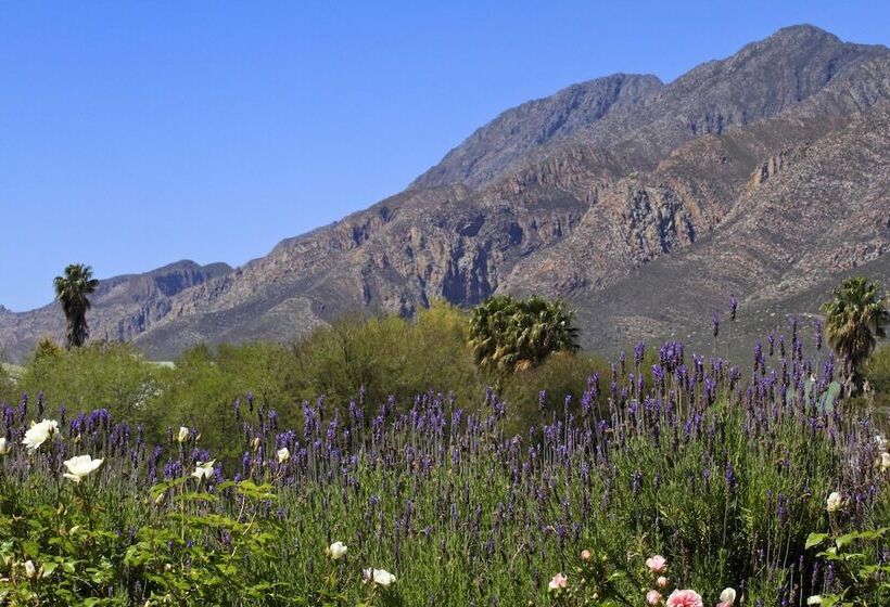 بنسيون Montagu Vines Guesthouse