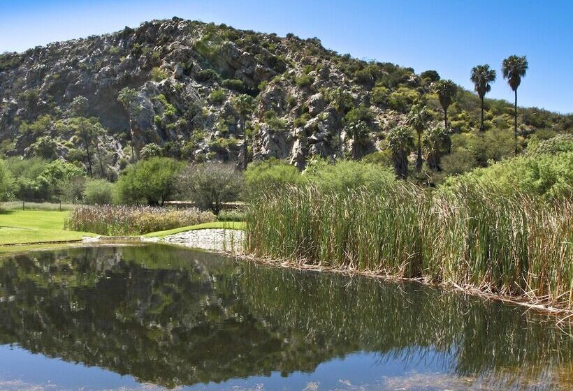 بنسيون Montagu Vines Guesthouse