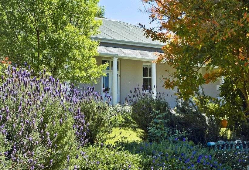 بنسيون Montagu Vines Guesthouse