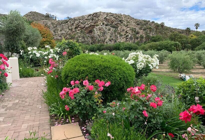 بنسيون Montagu Vines Guesthouse