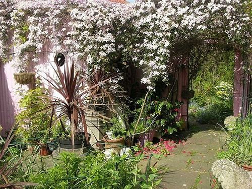 بنسيون Priory House & Oriental Brew House