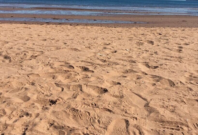 膳宿费 Trentham House