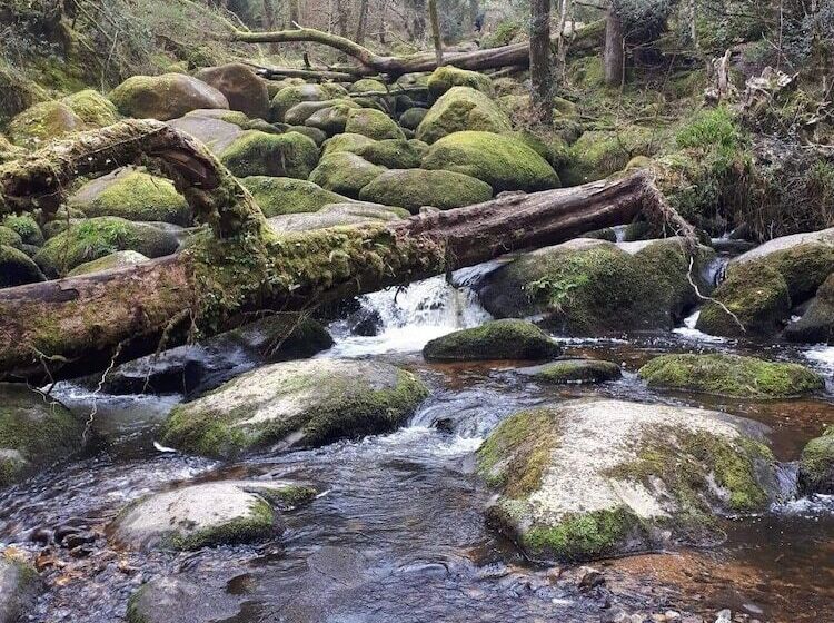 膳宿费 Trentham House