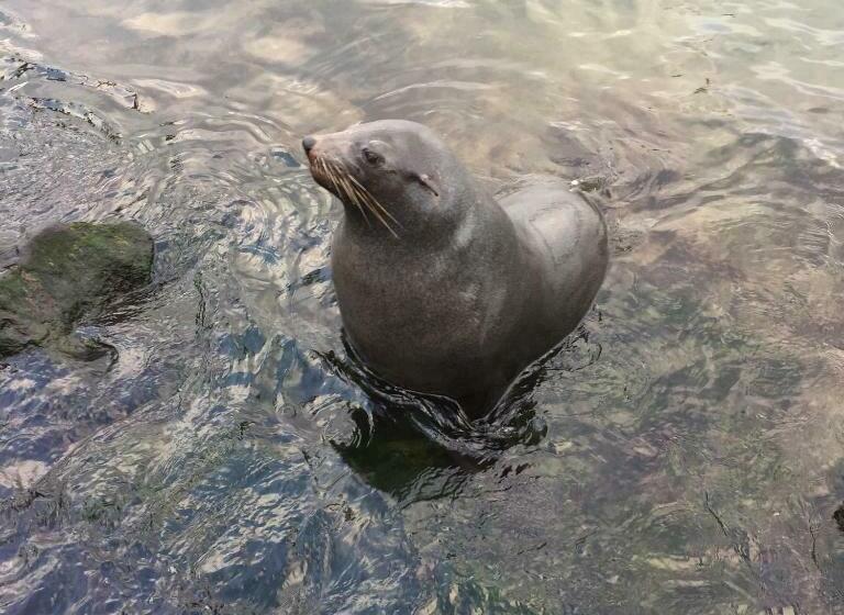 פנסיון Victoria House