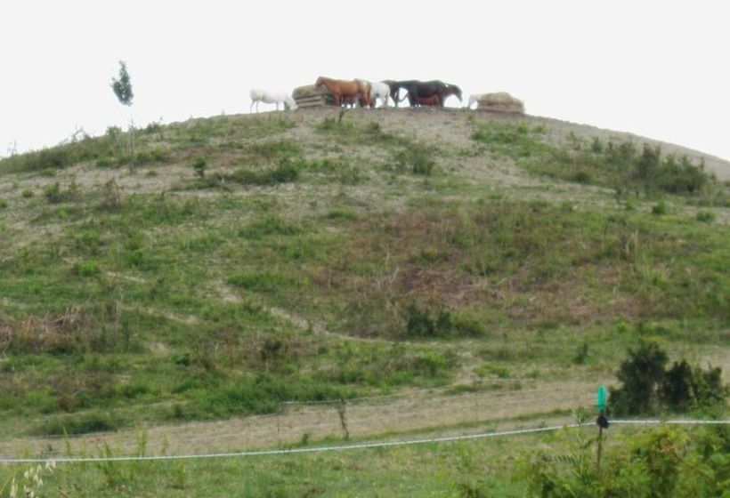 Residence Montericco