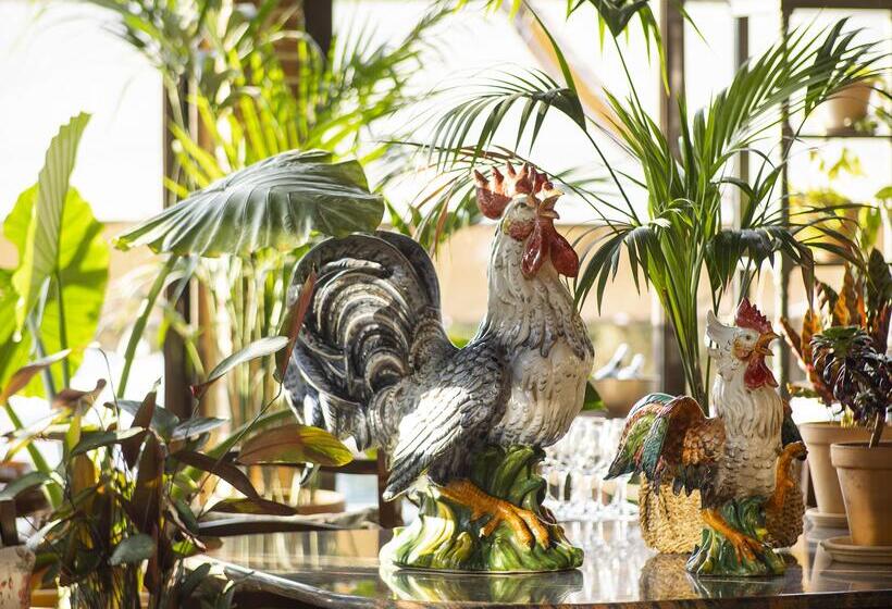 リゾートホテル Grecotel Luxme Costa Botanica