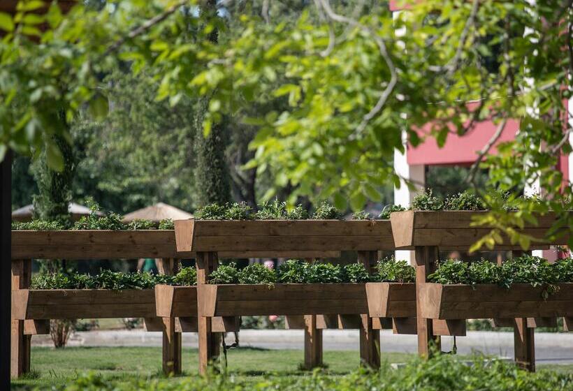 リゾートホテル Grecotel Luxme Costa Botanica