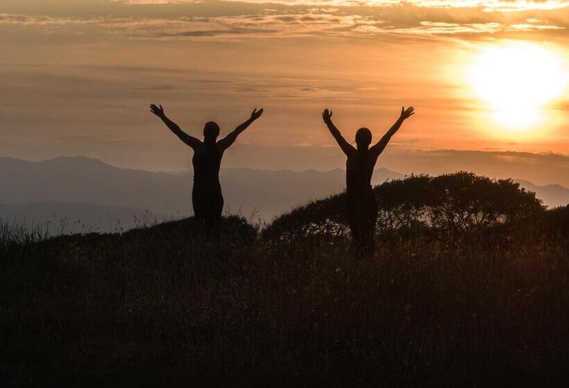 リゾートホテル Grecotel Luxme Costa Botanica