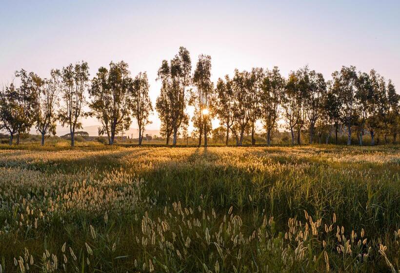 リゾートホテル Grecotel Luxme Costa Botanica