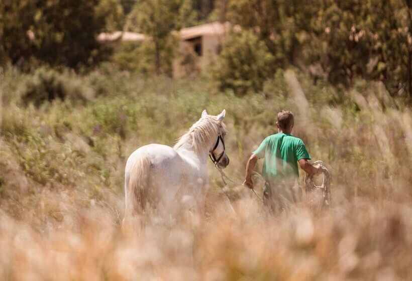 リゾートホテル Grecotel Luxme Costa Botanica