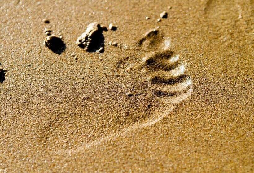 Sea Breeze Apartment