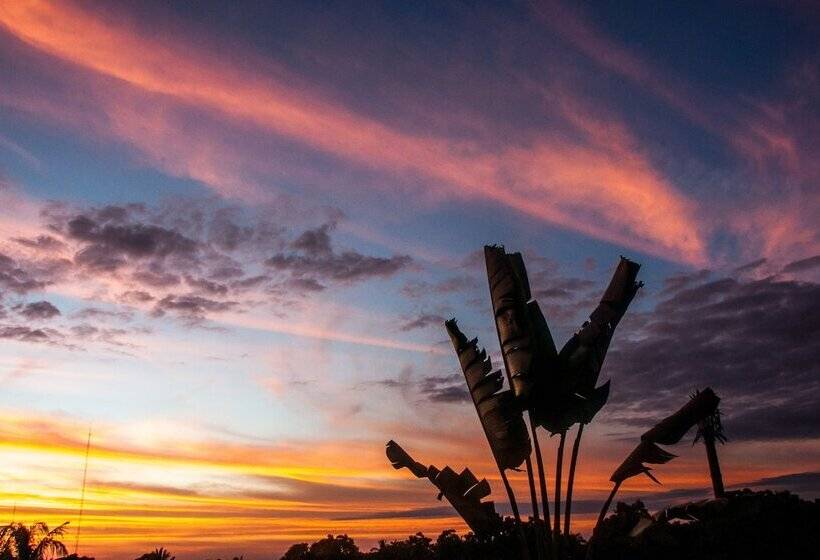 Shavanna Hotel Boutique