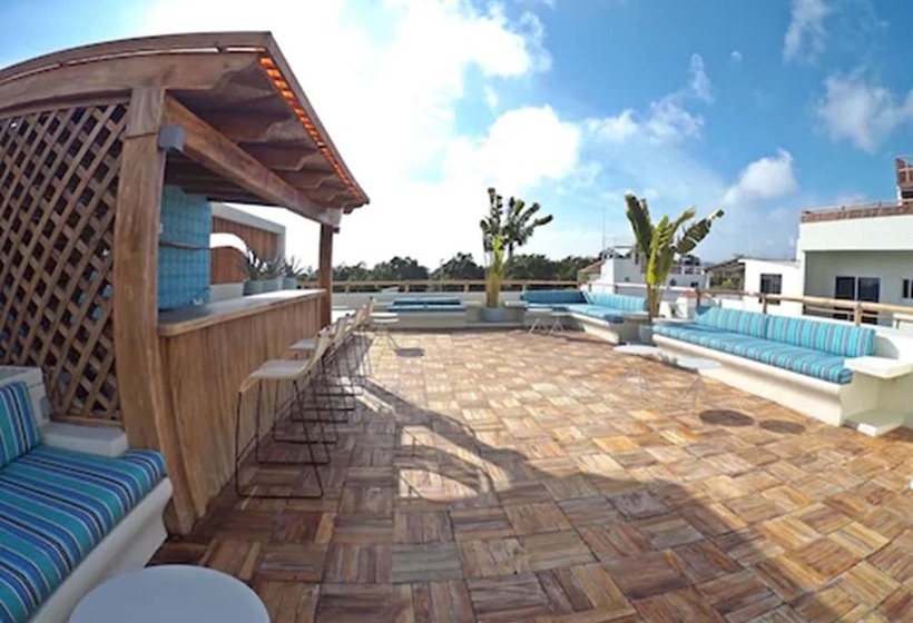 Shavanna Hotel Boutique