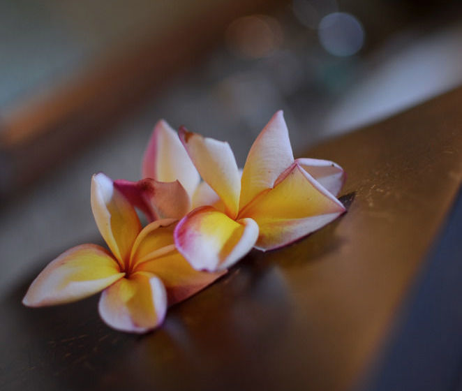 Luxury Villa Hanani Jimbaran Bali