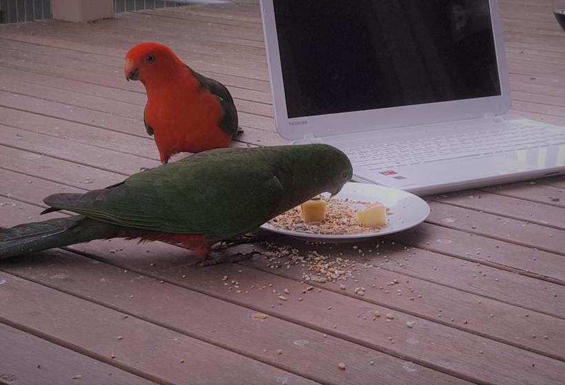 Wilsons Promontory Motel