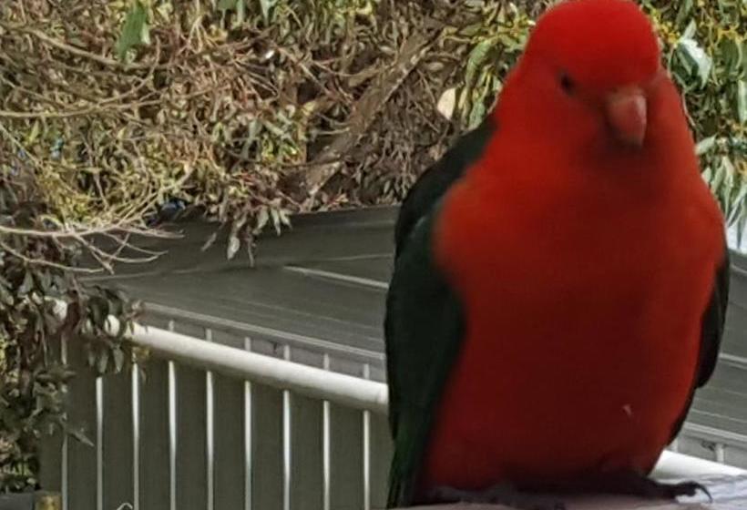 Wilsons Promontory Motel