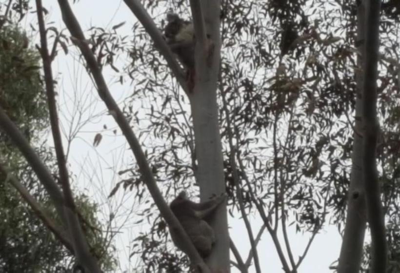 Wilsons Promontory Motel