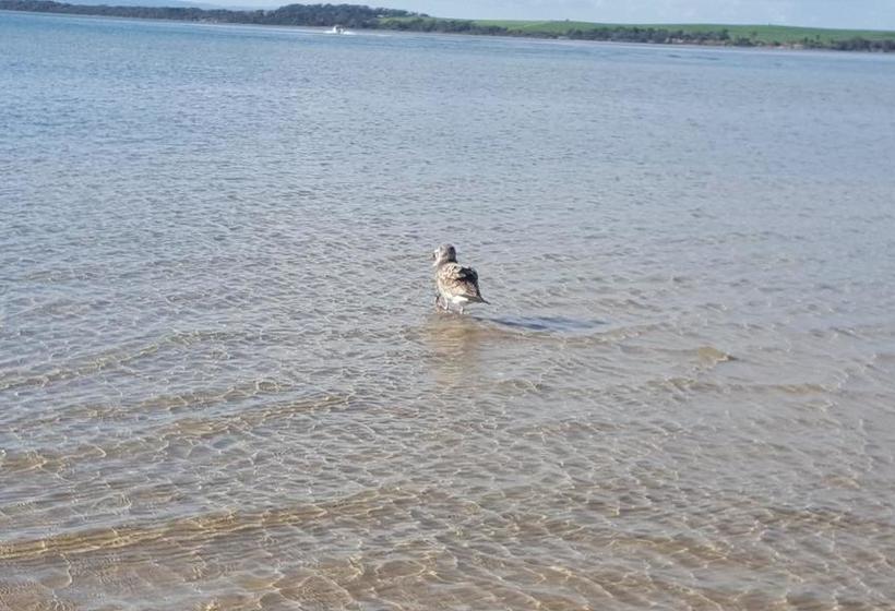 Wilsons Promontory Motel