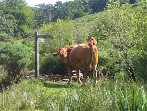 Wydemeet Bed And Breakfast