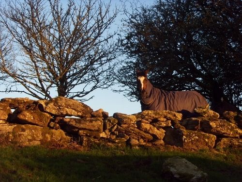 Wydemeet Bed And Breakfast