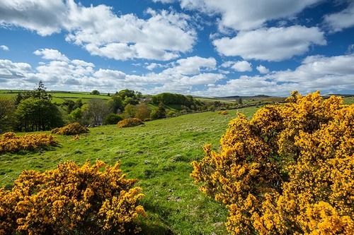 Wydemeet Bed And Breakfast