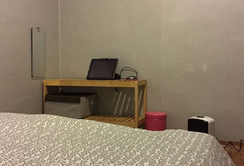 旅馆 Backpackers In Jeju City Center