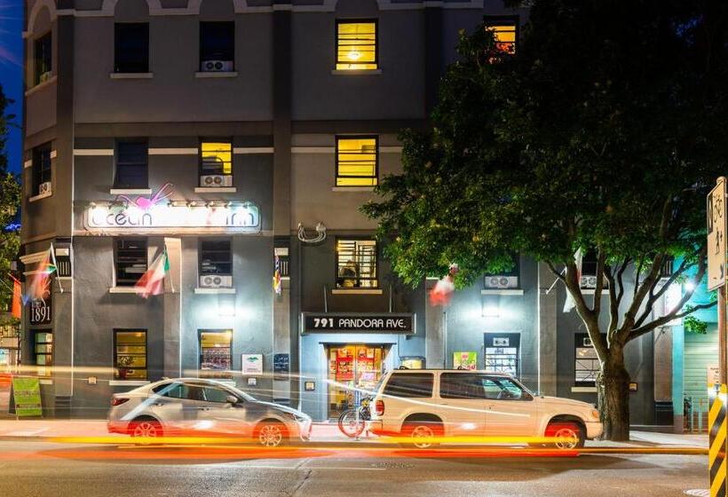 Общежитие Ocean Island Inn | Backpackers | Suites