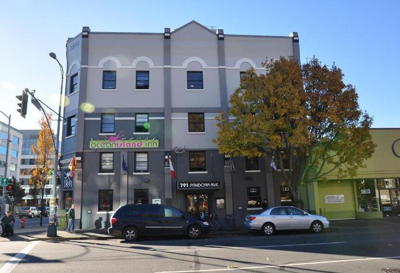 Общежитие Ocean Island Inn | Backpackers | Suites