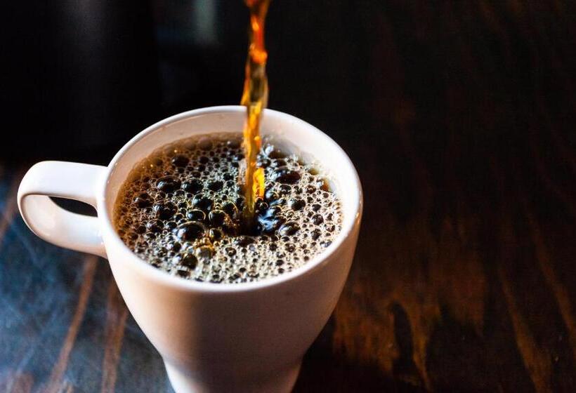 Общежитие Ocean Island Inn | Backpackers | Suites