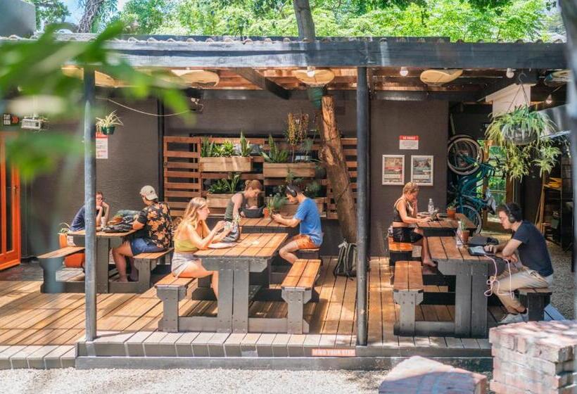 Общежитие Never At Home Kloof Street