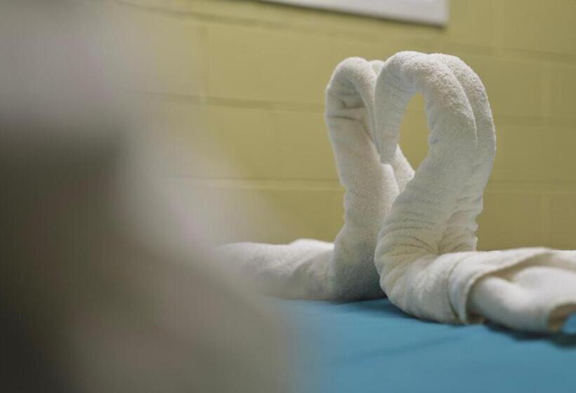 ユースホステル Silverfern Backpackers