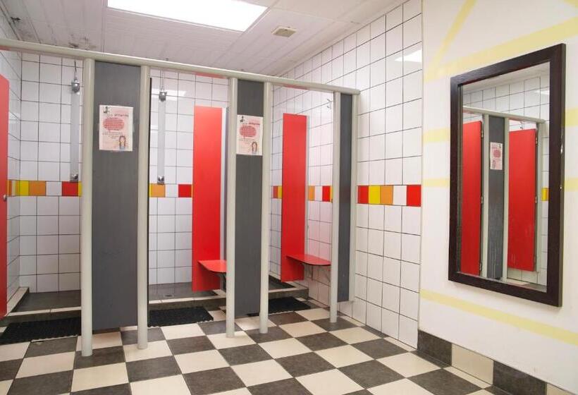 ユースホステル Silverfern Backpackers