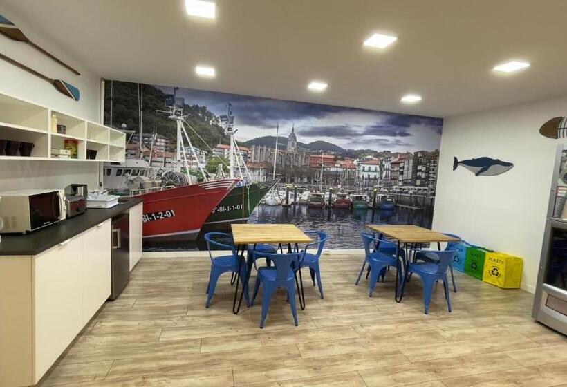 تختخواب و صبحانه Casual Blue