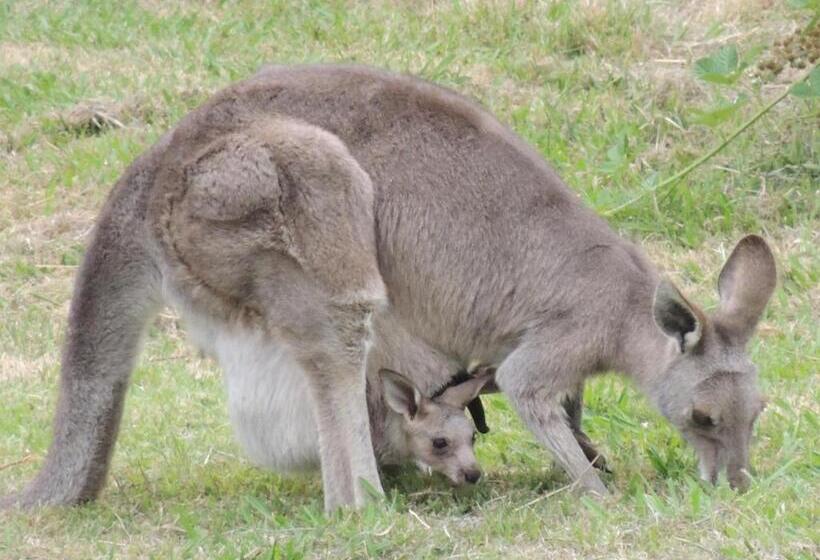 مبيت وإفطار Old Chilli Daylesford