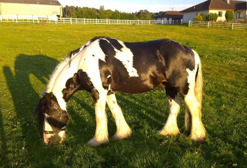 צימר Westview House