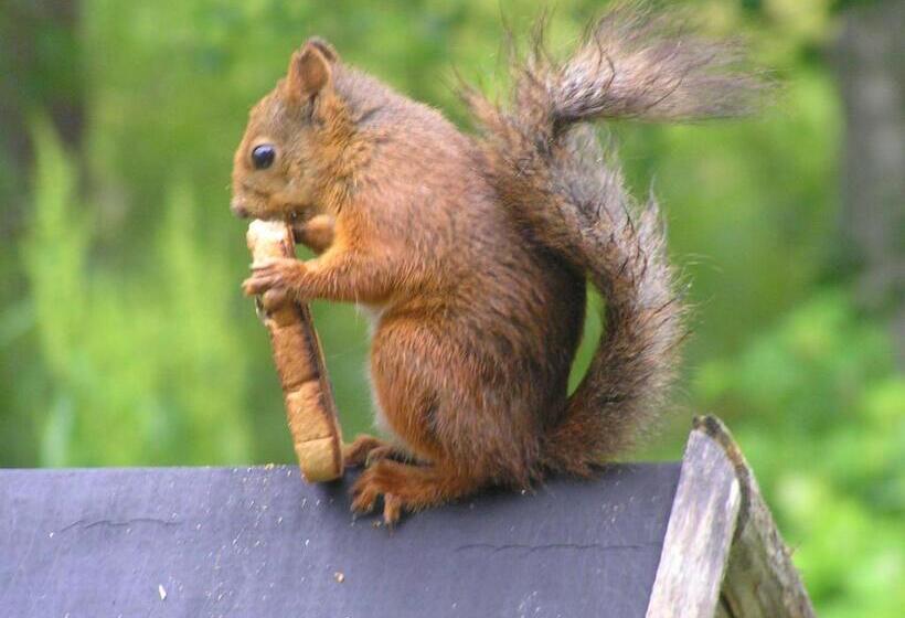 Fredrika Hotell Jakt&fiskecamp